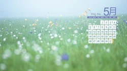 2013年5月日历背景精选组图