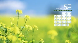 2013年5月日历背景精选组图