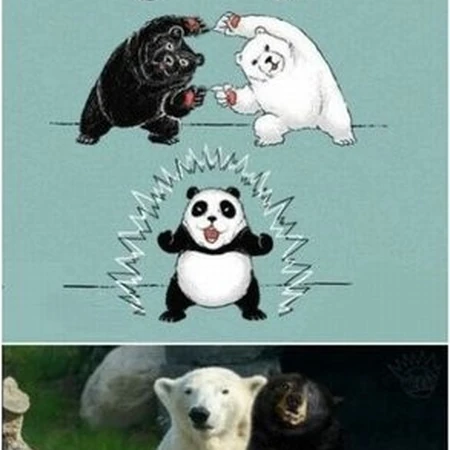 完美合体