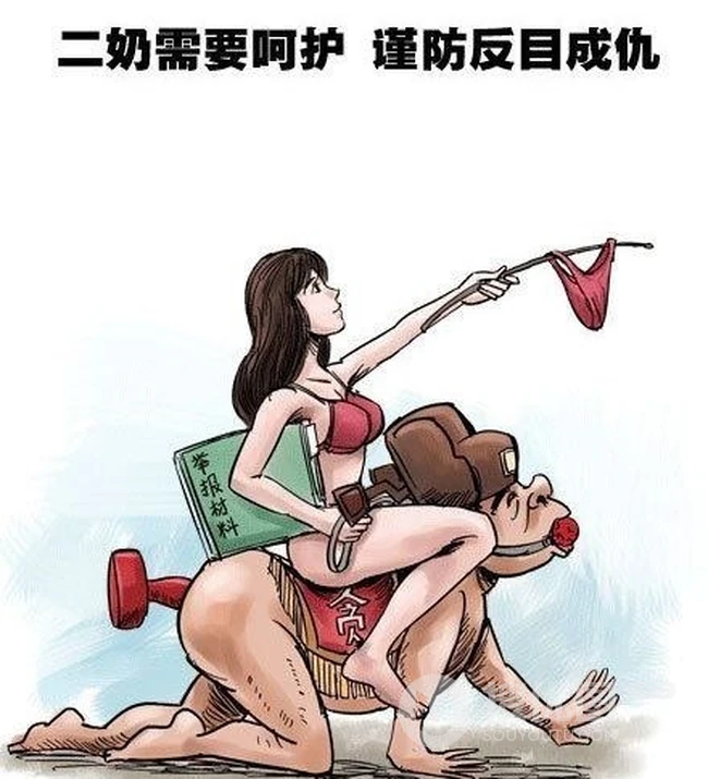 想当二奶的标准