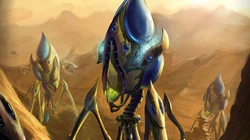 单机PC游戏高清电脑壁纸系列《星际争霸2》