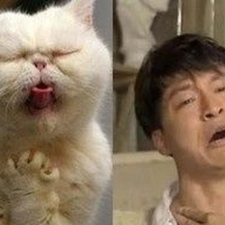 动物人类两界咆哮帝PK
