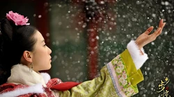 穿越神剧《步步惊心》高清电脑壁纸组图
