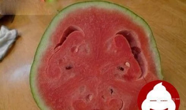 好囧的西瓜