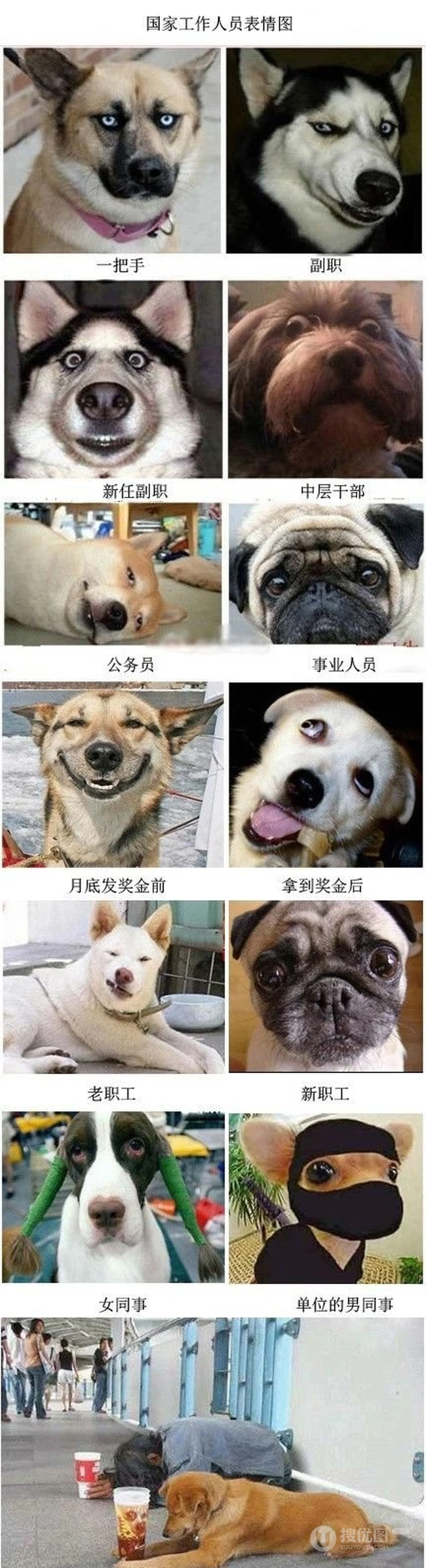 国家公务员表情图