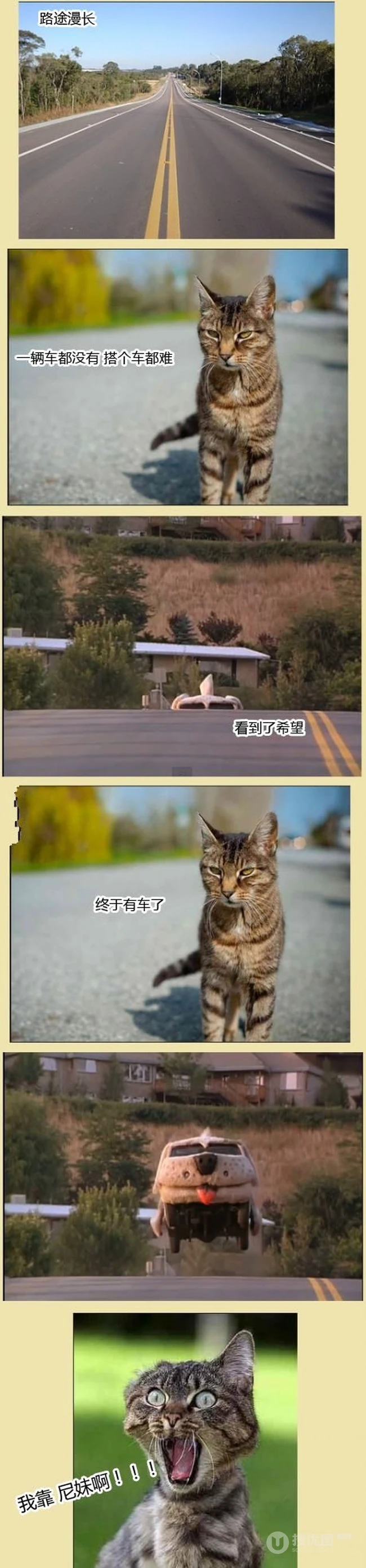 喵星人搭车奇遇