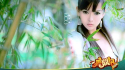 网络游戏《鹿鼎记》唯美古典美女壁纸图片
