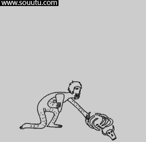 人类的进化史