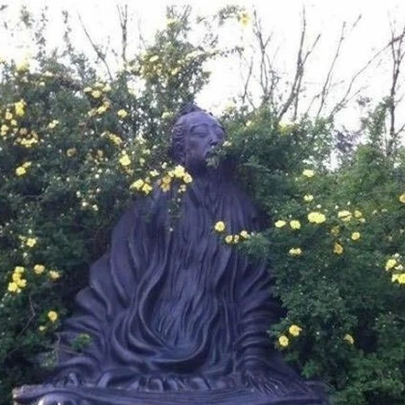 路边的野花必须采