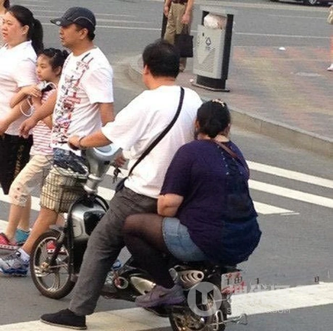 正新胎就是牛