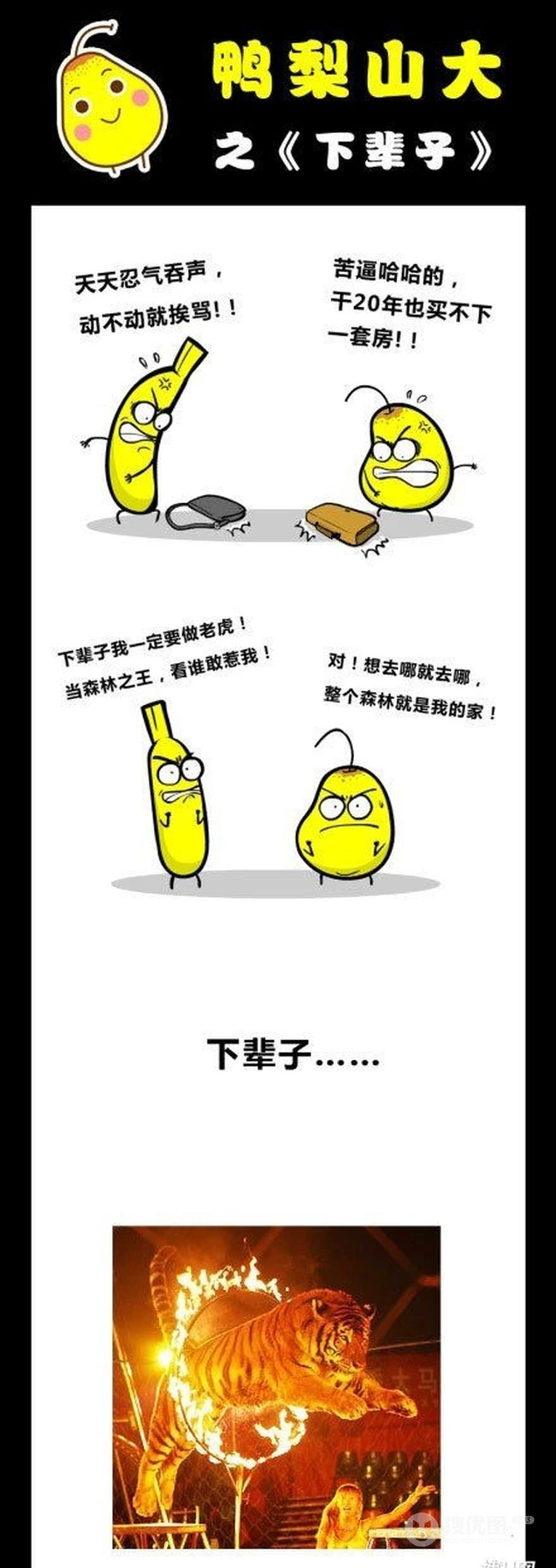 梦想成真