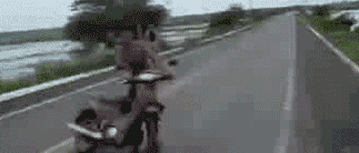 新手上路