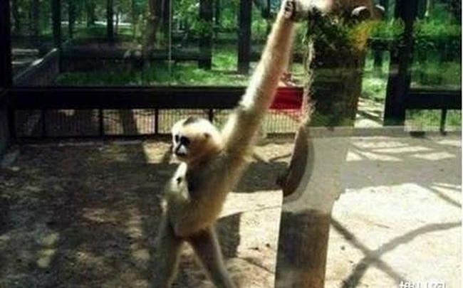 来拍吧