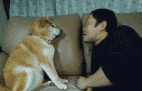 几句话就想得到我的吻？