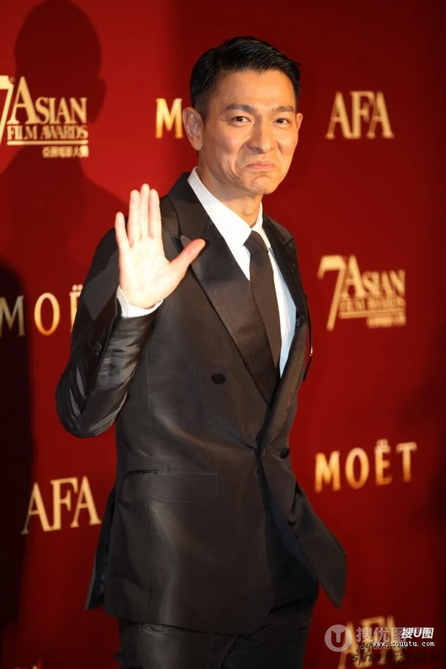 香港男明星&mdash;&mdash;刘德华图片