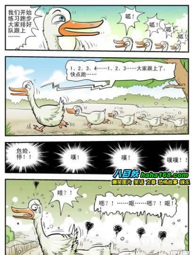 这场面我勒个去