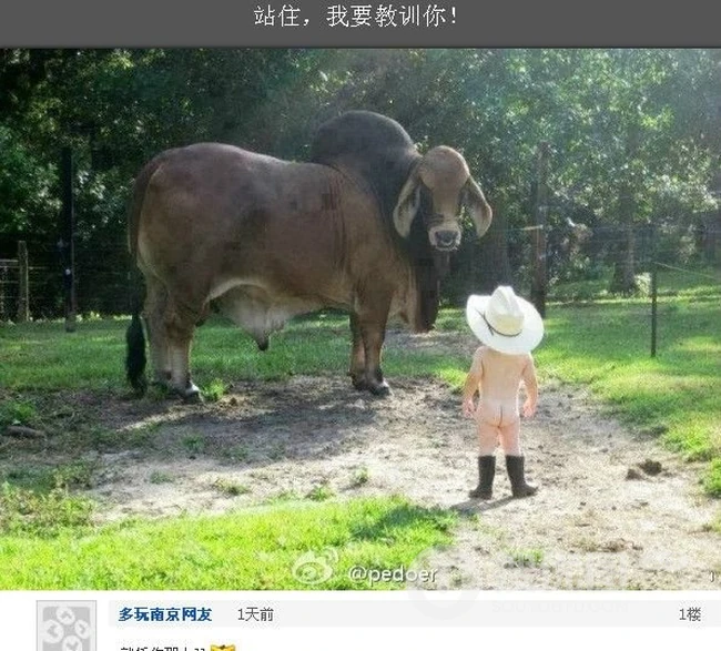 超萌牛仔