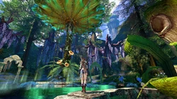 韩国网络游戏《TERA》高清壁纸图片下载
