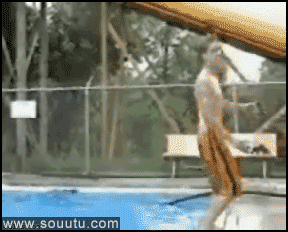 我也试试空翻跳水