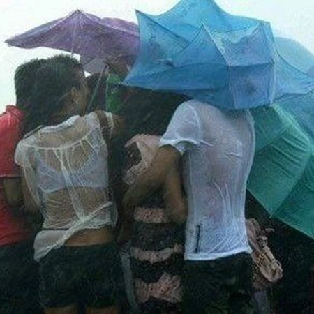 这就叫风雨同舟