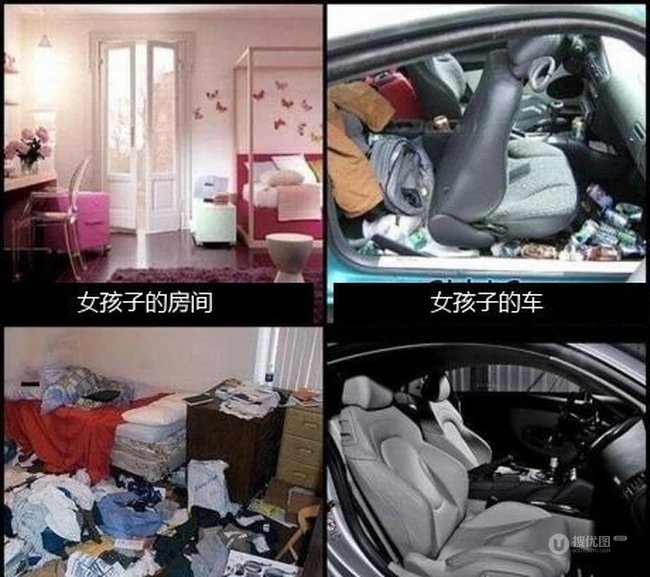 男人和女人的具体分别