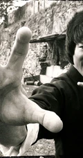 功夫传奇 李小龙 桌面壁纸类图片