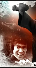 功夫传奇 李小龙 桌面壁纸类图片