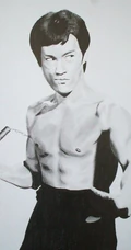 功夫大师 - 李小龙 - 画像
