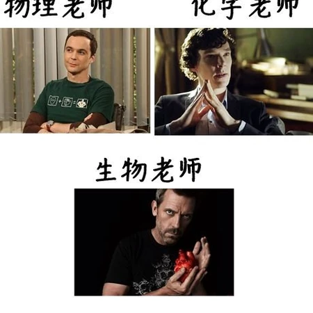 最强教师阵容