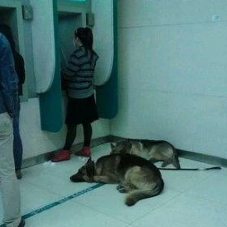 我看谁敢抢我