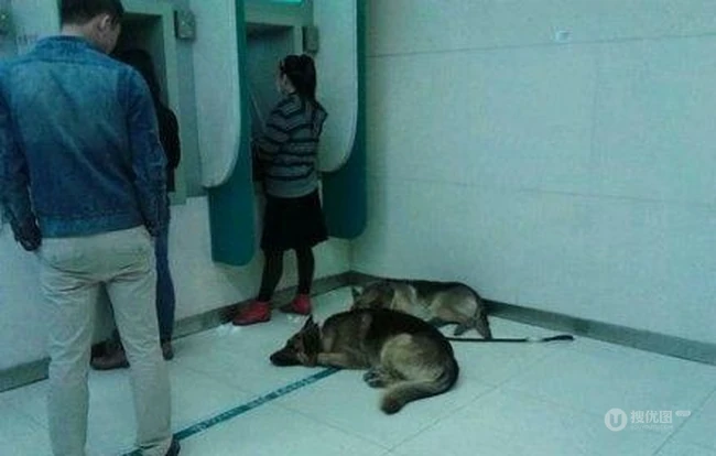 我看谁敢抢我