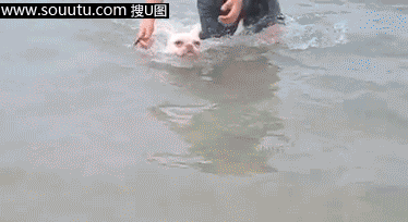 快乐的感觉停不下来。