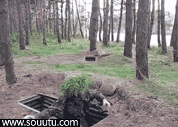 有的时候失误是要付出代价的