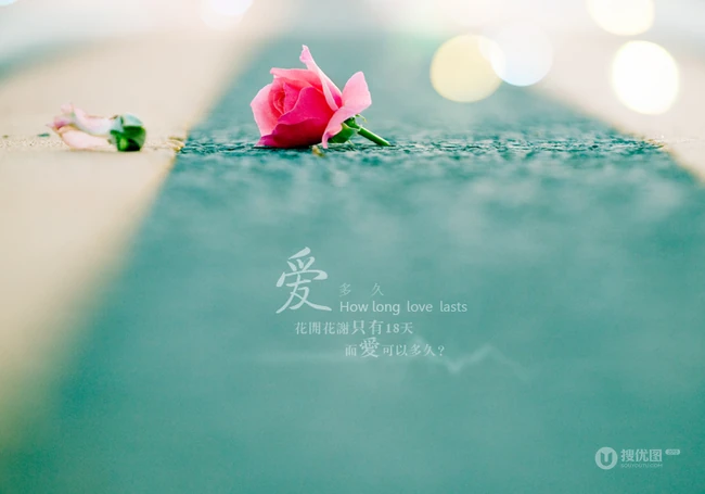 唯美爱情图片_一段组关于爱的文字图片