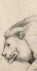 木朵萌图《亲亲木朵》图集 速写本子作品