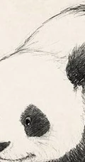 木朵萌图《亲亲木朵》图集 速写本子作品