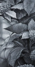 极致华丽酷炫美图-阵容庞大-总有你的菜