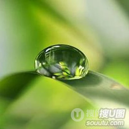 清晨露珠唯美头像&mdash;&mdash;点点滴滴在心头
