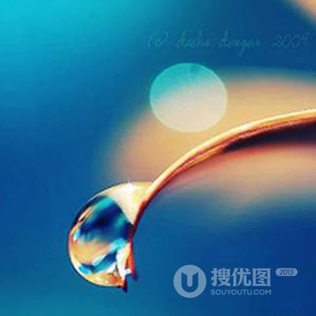 清晨露珠唯美头像&mdash;&mdash;点点滴滴在心头