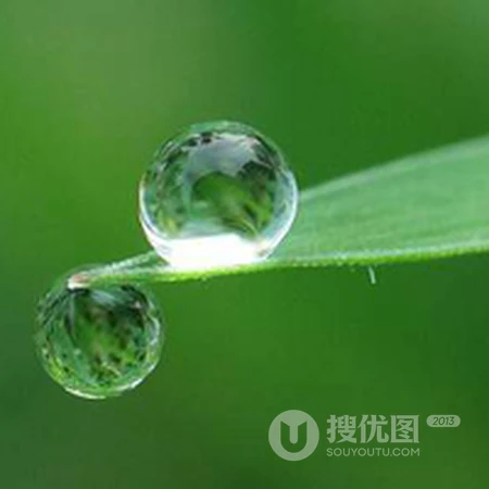 清晨露珠唯美头像&mdash;&mdash;点点滴滴在心头