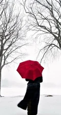 细雨飘摇，等一把雨伞
