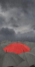 细雨飘摇，等一把雨伞