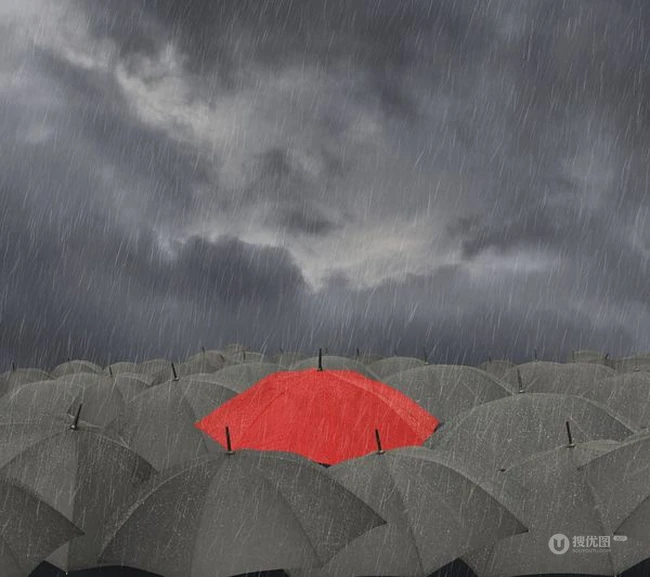 细雨飘摇，等一把雨伞