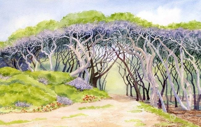田园风水彩画背景图片&mdash;Mary Ellen Golden作品 第10张