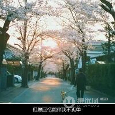 唯美小清新头像 女人与镜头