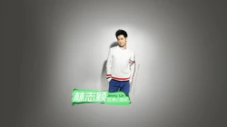 亚洲小旋风林志颖高清壁纸1920x1080套图