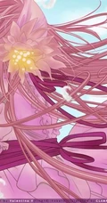 花户小鸠