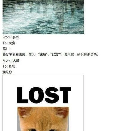 高端设计寻猫启示