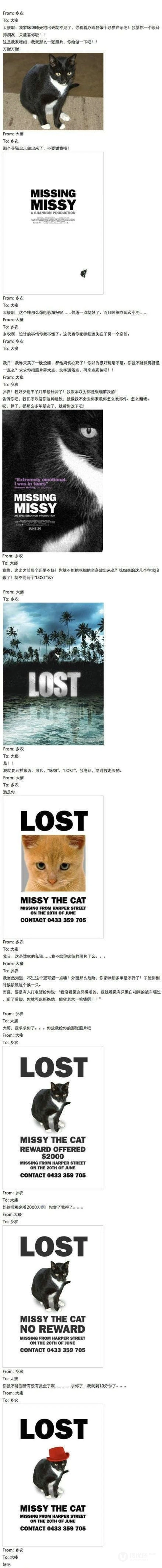高端设计寻猫启示