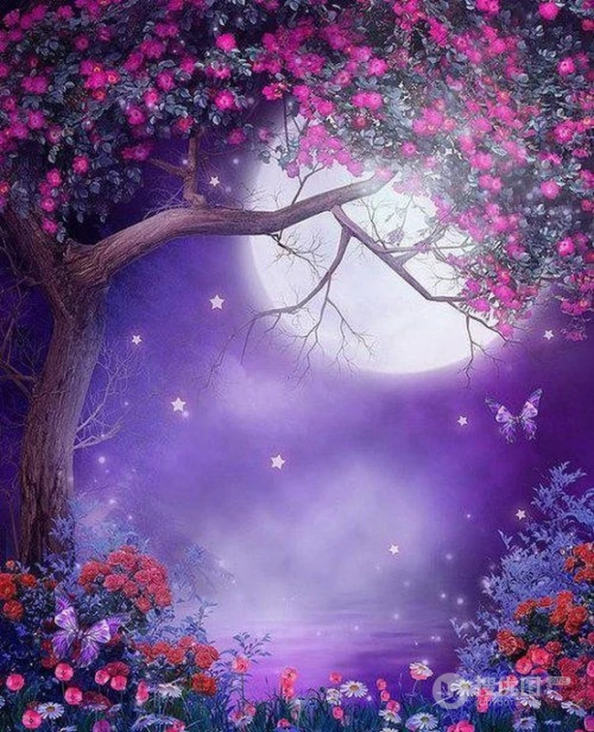 唯美插画_如梦亦如幻的背景图 第1张